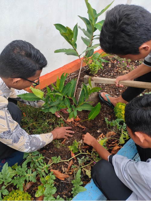 GERAKAN MENANAM 1 JUTA POHON
