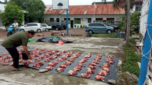 KEGIATAN QURBAN 1444H KELUARGA BESAR AL-MISHBAH